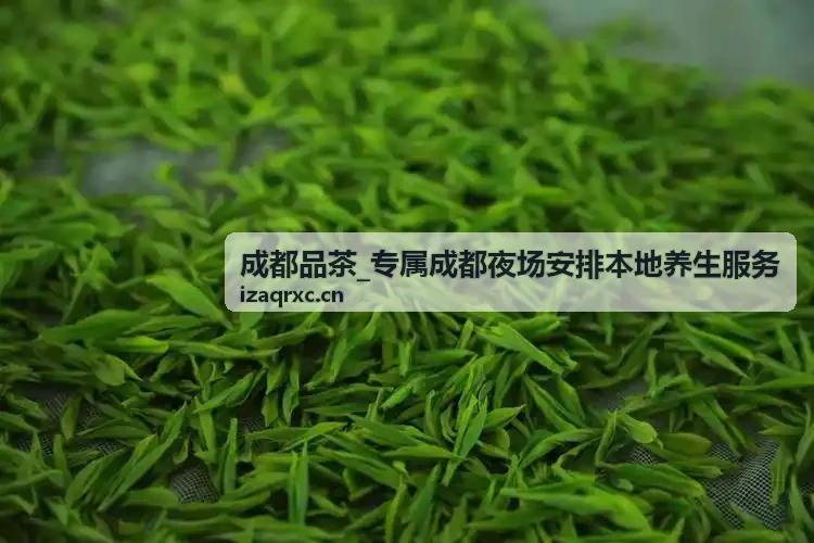 成都品茶夜场社交安排服务